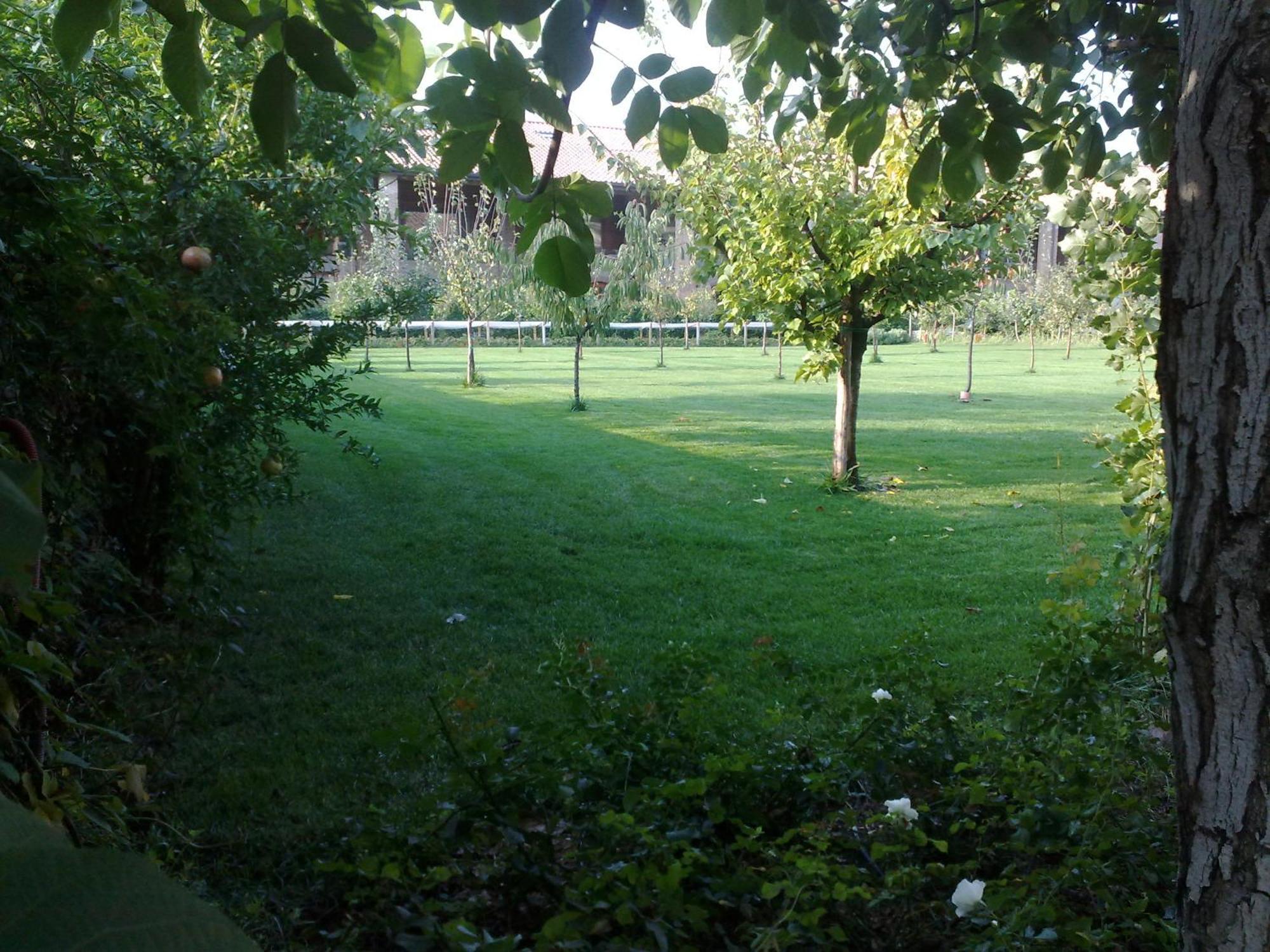 Relais Corte Guastalla Apartments Sona Buitenkant foto